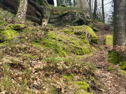 24-02-26 13-30-48 8701